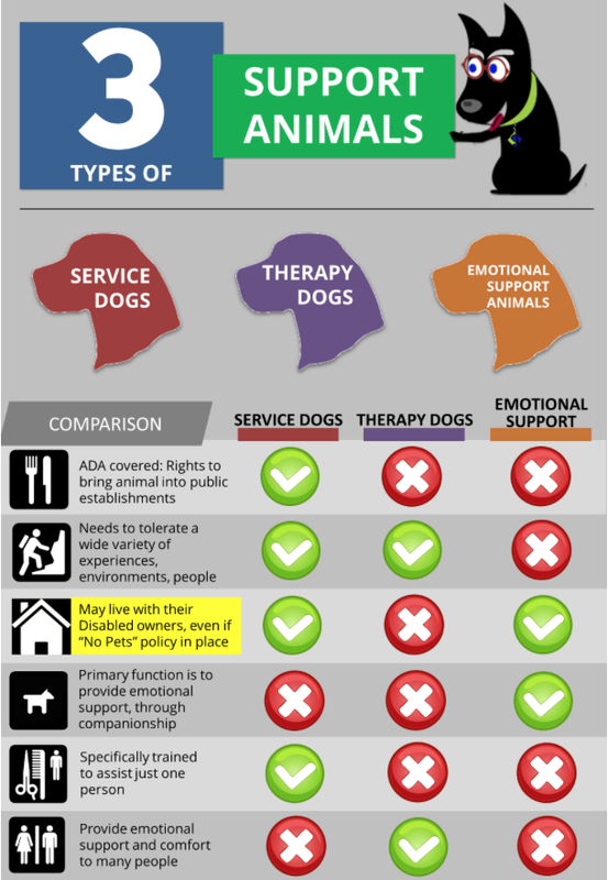 all types of service dogs